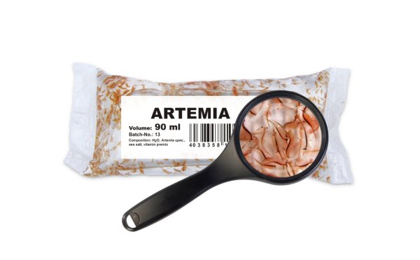 Lebendfutter Artemia Salinenkrebse 