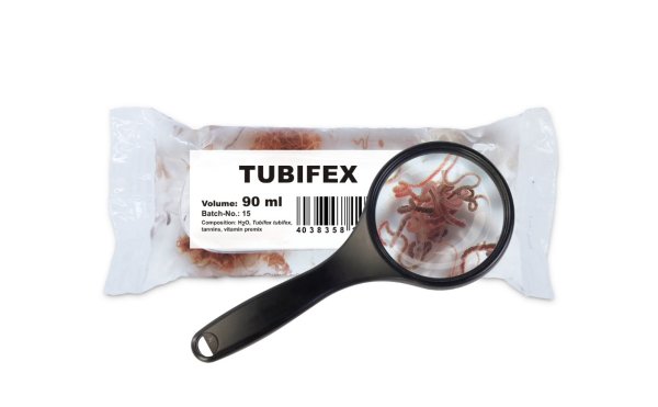 Lebendfutter Tubifex