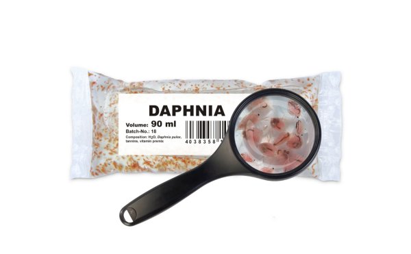 Lebendfutter Daphnia | Wasserflöhe